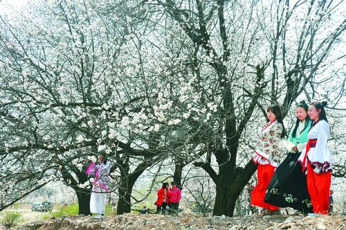 辽宁vs广东直播